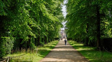 CAMBRIDGE, İngiltere - 11 Haziran 2025 - Cambridge, İngiltere 'deki Madingley Hall' a doğru ağaçlarla çevrili bir yolda yürüyen turistler güneşli bir günün tadını çıkarıyorlar