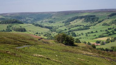 Kuzey York Moors Ulusal Parkı 'nda yuvarlanan tepelerin ve yemyeşil tarlaların nefes kesici manzarası İngiliz kırsalının güzelliğini gözler önüne seriyor.