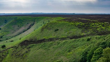 Dalgalanan yeşil tepelerin, Kuzey York Moors Ulusal Parkı 'ndaki geniş bozkırlarla buluştuğu yer manzarası.