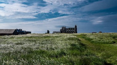 North York Moors Ulusal Parkı 'nda bulutlu bir gökyüzünün altındaki çimlerin üzerinde yükselen Whitby Abbey manzarası.