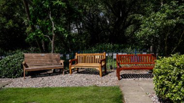 LEICESTER, İngiltere - 14 Haziran 2025 - Leicester, İngiltere 'de sakin bir park ortamında hatıra plaketleri olan üç boş ahşap bank, sessiz bir yansıma için bir yer teklif et