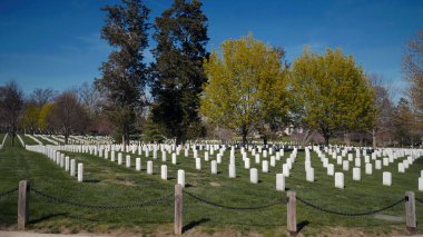 WASHINGTON DC, ABD - Nisan 08, 2017 - ABD 'nin başkenti Washington' daki Arlington Ulusal Mezarlığı 'nda düzenli olarak duran askeri personel mezarlarını gösteren beyaz mermer mezar taşları