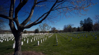 WASHINGTON DC, ABD - Nisan 08, 2017 - Washington DC, ABD 'deki Arlington Ulusal Mezarlığı' nda askeri personelin mezarlarını gösteren beyaz mermer mezar taşları