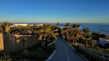 Gün batımında Marbella Sahili 'ne giden yol. Arka planda palmiye ağaçları, bitki örtüsü ve marina var. MARBELLA, SPAIN - 30 Mart 2025