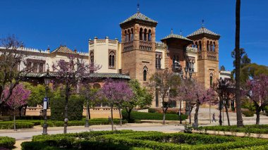 İspanya 'nın Seville kentindeki tarihi bir binanın önünde, açık mavi gökyüzünün altında açan pembe çiçekler - SEVILLE, SPAIN - 25 Mart 2025