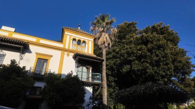 Beyaz ve sarı cepheli tipik bir Endülüs binası balkonları, bir palmiye ağacı ve açık mavi gökyüzü altında yemyeşil bitki örtüsü - SEVILLE, SPAIN - 25 Mart 2025