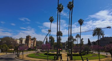 İspanya, Seville 'in manzarası, palmiye ağaçları, çiçek açan ağaçlar, ve mavi gökyüzü altında tarihi mimari - SEVILLE, SPAIN - 25 Mart 2025