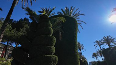 Cadiz, Endülüs, İspanya 'daki Ceneviz Parkı' nda yetişen yeşil çalılar ve ağaçlar - CADIZ, İspanya - 26 Mart 2025