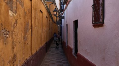 Sevilla, İspanya, Avrupa 'da köpeklerle dar bir sokakta yürüyen insanlar - SEVILLE, İspanya - 25 Mart 2025