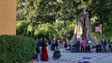 İspanya 'nın Sevilla kentindeki bir parkta iki flamenko dansçısı gösteri yaparken, turistler büyük bir ağaç olan SEVILLE, SPAIN - 25 Mart 2025