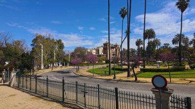 Parque de Maria Luisa 'nın çiçek açan ağaçları, palmiye ağaçları ve Seville, İspanya' da açık mavi gökyüzü altında tarihi binaları olan manzarası - SEVILLE, SPAIN - 25 Mart 2025