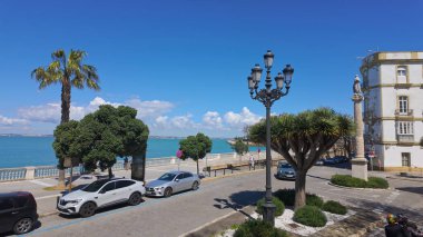 İspanya 'nın Cadiz kentinin manzarası, kıyı güzelliğini, park halindeki arabalarını ve açık mavi gökyüzü altında yemyeşil palmiye ağaçlarını gösteriyor - CADIZ, SPAIN - 26 Mart 2025