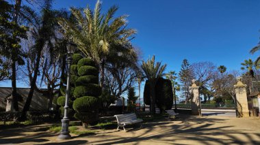 Cadiz, Endülüs, İspanya 'daki Ceneviz Parkı' nda yetişen yeşil çalılar ve ağaçlar - CADIZ, İspanya - 26 Mart 2025