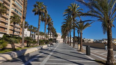 Güneşli bir günde Cadiz, Endülüs, İspanya 'da palmiye ağaçları ve mavi gökyüzü ile güzel bir gezinti - CADIZ, İspanya - 26 Mart 2025