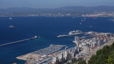 Gibraltar Limanı 'nın güneşli bir günde seyahat gemisi ve kargo gemileriyle hava görüntüsü - GIBRALTAR, İngiltere - 31 Mart 2025
