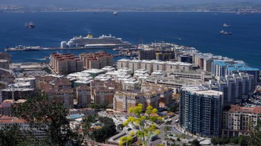 Gibraltar limanının güneşli bir günde yolcu gemisi, kargo gemisi ve şehir binalarıyla panoramik görüntüsü - GIBRALTAR, İngiltere - 31 Mart 2025