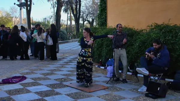 Flamenko dansçısı iki müzisyen ve bir grup turistle Sevilla meydanında gösteri yapıyor SEVILLE, SPAIN - 25 Mart 2025