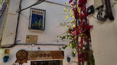 İspanya 'nın Marbella kentindeki Calle de los Caballeros' taki geleneksel bir binanın beyaz cephesini süsleyen güzel begonviller - MARBELLA, SPAIN - 30 Mart 2025