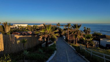 Gün batımında Marbella Sahili 'ne giden yol. Arka planda palmiye ağaçları, bitki örtüsü ve marina var. MARBELLA, SPAIN - 30 Mart 2025