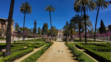 Bereketli yeşilliklerin ve palmiye ağaçlarının ortasındaki sakin patika Seville 'deki Maria Luisa Parkı' ndaki pitoresk Mudejar Pavyonu 'na çıkıyor - SEVILLE, İspanya - 25 Mart 2025