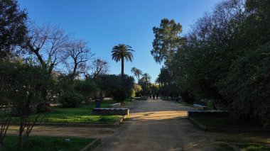 İspanya 'nın Sevilla kentindeki yemyeşil Maria Luisa Parkı' nda gezinen sakin patika şehrin göbeğinde huzurlu bir kaçış sunuyor.