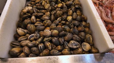 İspanya, Cadiz 'de bir balık pazarında taze midyeler satılıyor. Denizin tadını sunuyorlar.