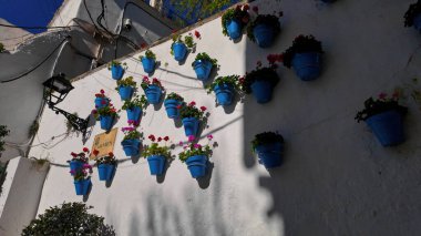 İspanya, Marbella 'nın tipik bir caddesinde beyaz bir duvarda asılı renkli sardunyalarla mavi saksılar.