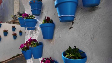 İspanya, Marbella 'da beyaz bir duvara asılmış bir sürü mavi saksı canlı ve renkli bir sokak manzarası yaratıyor.