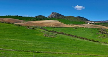 İspanya 'nın Endülüs kentindeki canlı yeşil tepelerin ve tarım arazilerinin manzaralı manzarası, manzaralı bir kırsal alan yaratıyor.