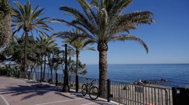 Güneşli bir günde İspanya 'nın Marbella kentinde Akdeniz' e bakan palmiye ağaçlarıyla deniz kenarına park edilmiş bisiklet manzarası