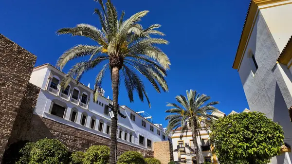 İspanya 'nın Marbella kentindeki açık mavi gökyüzü altında geleneksel beyaz binalar ve palmiye ağaçları güzel bir Akdeniz manzarası yaratıyor.