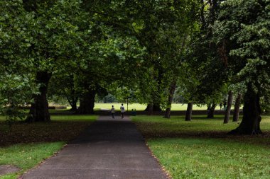 CARDIFF, İngiltere - 8 Ağustos 2025 - Bute Park, Cardiff 'te yaz tatillerinde ağaçlarla çevrili bir yolda yürüyen iki turist