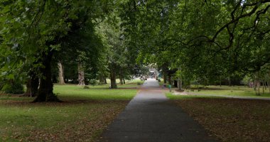 CARDIFF, İngiltere - 8 AĞUSTOS 2025 - Cardiff şehir merkezindeki Bute Park 'tan geçen yol, her iki tarafında ağaçlar ve yeşil çimenler olan