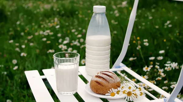 Посеред Газону Ромашки Білому Стільці Пляшка Молока Також Склянка Молока — стокове фото