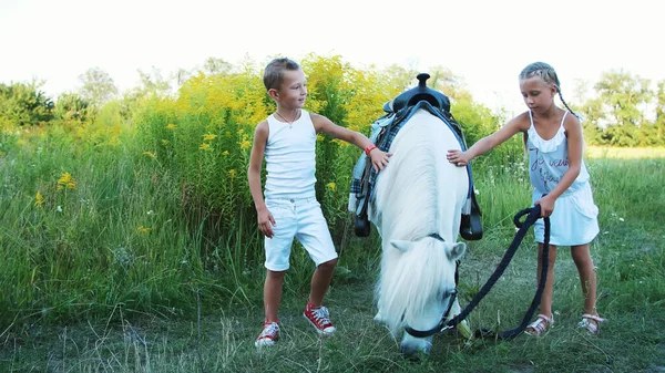 7歳の男の子と女の子が白いポニーを撫でていました 陽気で幸せな家族の休暇 屋外では 夏には 森の近く 高品質の写真 — ストック写真