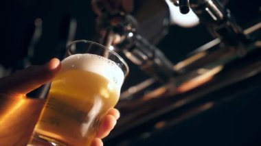 Barmen bardağa bira doldurur. Barmenlerin ellerinin bardakları hafif birayla doldurduğu yakın çekim. Bar masasında, barda. Bira barında bardağa bira dolduruyorum.