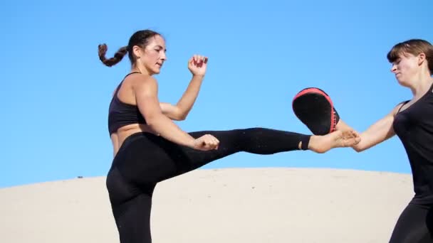 Due Donne Atletiche Giovani Tuta Fitness Nera Sono Impegnate Una — Video Stock