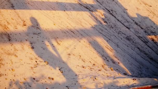 在沙滩上 有一个人的影子 他拿着一根粗绳 交叉地做着运动 在日出时 在夏天 — 图库视频影像