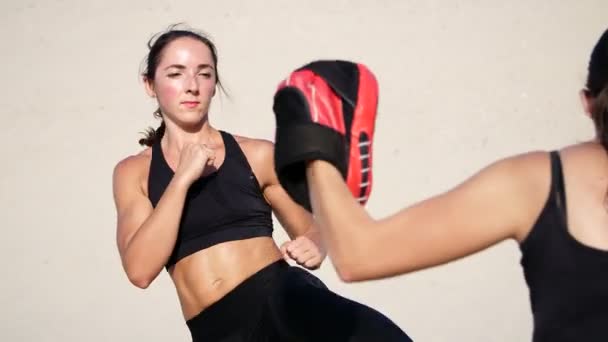 Siyah Fitness Takım Elbiseli Iki Atletik Genç Kadın Bir Çift — Stok video