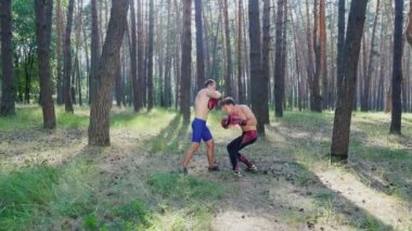 Boks eldivenlerinde çıplak, çıplak gövdeli genç sporcular, boks, vuruş tekniği, yakalama, dövüşme. Ağır çekim. Çam ormanlarında, yazın, güneş ışınlarında