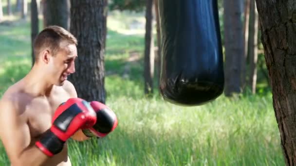 ボクシングの手袋では 裸の胴 箱を持つ若い陸上競技の男は 打撃の技術を実践し パンチングバッグと戦う スローモーション 太陽の光が差し込む夏の松林の中で — ストック動画