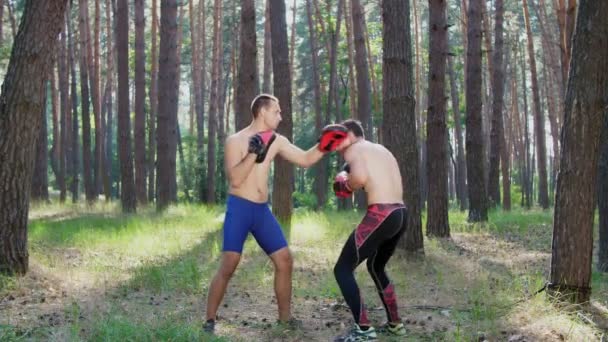 ボクシングの手袋では 裸で裸のトルソを持つ若い運動選手は ボックス ストライキ キャプチャ 戦いのテクニックを練習します スローモーション 太陽の光の中で夏の松林の中で — ストック動画