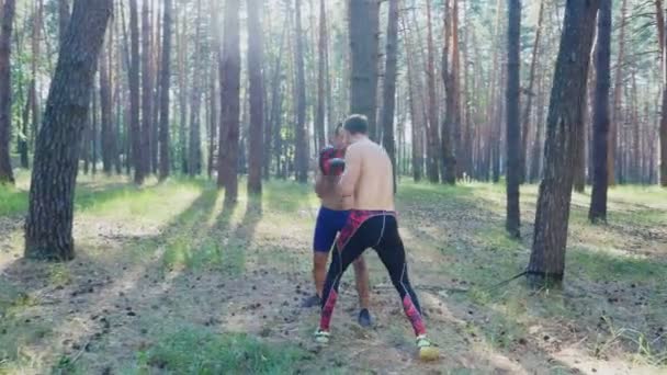 ボクシングの手袋では 裸で裸のトルソを持つ若い運動選手は ボックス ストライキ キャプチャ 戦いのテクニックを練習します スローモーション 太陽の光の中で夏の松林の中で — ストック動画