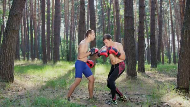 Boxerských Rukavicích Mladí Atletičtí Muži Nahými Nahými Trupy Boxem Cvičí — Stock video