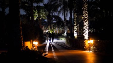 Dubai, BİRLİK ARAB EMIRATES, BAE - 20 Kasım 2017: Otel Jumeirah Al Qasr Madinat, gece fenerlerin ışığı ve geçen taksi böceklerinin farları ile insanlar yürür. Yüksek kalite fotoğraf