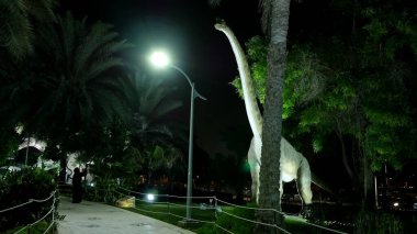 Dubai Garden Glow Park 'taki Dinozor Parkı, gece aydınlandı. Bir sürü farklı dinozor, canlı görünüyorlar. Yüksek kalite fotoğraf