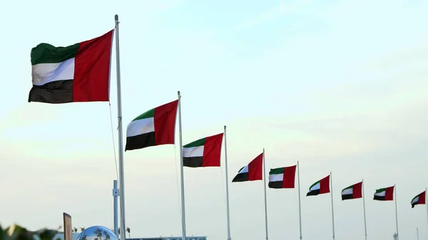 Egyesült Arab Emírségek Zászlói Fújnak Szélben Kiváló Minőségű Fénykép — Stock Fotó