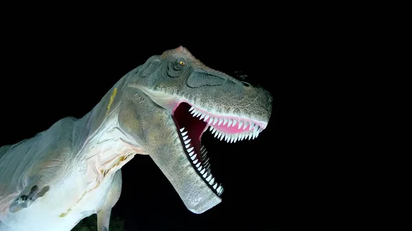 Dinoszaurusz Park Dubai Garden Glow Park Megvilágított Éjjel Egy Csomó — Stock Fotó