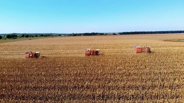 Widok Góry Trzy Duże Maszyny Kombajn Czerwony Zbioru Kukurydzy Wczesną — Zdjęcie stockowe