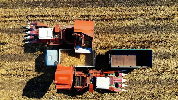 空中トップビュー トウモロコシの収穫 収穫機を組み合わせる収穫後のトレーラーとトラックに新鮮なトウモロコシを入れます 空中農業 高品質の写真 — ストック写真